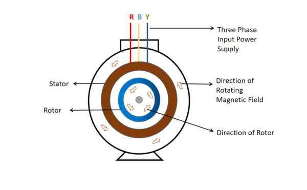 Direction of reversal of induction motor