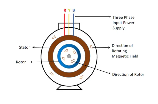 Working principle of induction motor